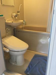 a bathroom with a toilet and a sink and a bath tub at Resort Inn Seikan in Hakuba +14 photos
