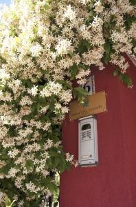 Vonkajšia záhrada v ubytovaní Antica Villa Graziella Venice - Atika & Atif