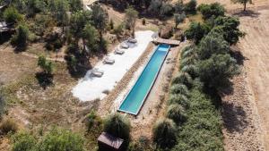 AbelaSublim' Ecolodge的带椅子和树木的游泳池的俯视图