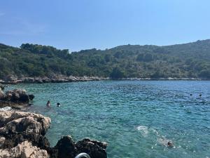 a group of people swimming in a large body of water at Casa Maja in Koločep