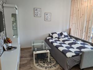un divano in una stanza con finestra di Butterfly apartment a Šiauliai