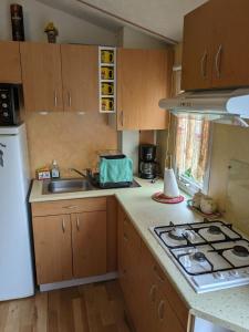 una cocina con fregadero y estufa horno superior en Mobil home agreable et fonctionnel, en Besse-et-Saint-Anastaise