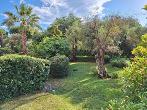 Afbeelding uit fotogalerij van JUAN LES PINS Charming in Juan-les-Pins