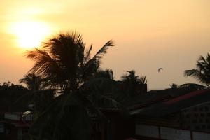 a sunset with palm trees and a kite in the sky at Villa Baywalk Goa - 200 meters from Morjim Beach in Morjim