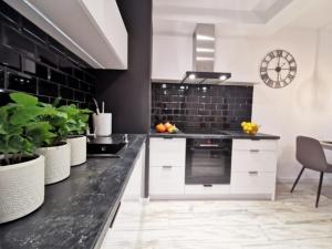 Kuchnia lub aneks kuchenny w obiekcie Apartament nad morzem FABIO Kołobrzeg