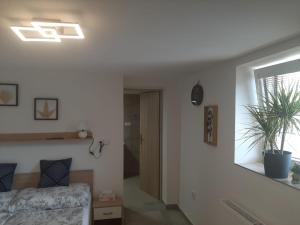 Fotografie z fotogalerie ubytování Apartmán LUKA 2 v destinaci Buchlovice
