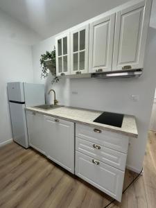 Kuchyň nebo kuchyňský kout v ubytování Apartments Alać