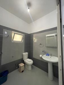 a bathroom with a toilet and a sink at Keivi Guesthouse in Sarandë