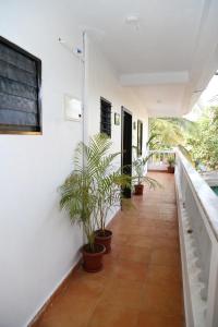 a hallway with potted plants on a white wall at Villa Baywalk Goa - 200 meters from Morjim Beach in Morjim