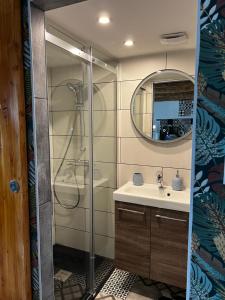 a bathroom with a shower and a sink and a mirror at Cocon sous les toits du Gévaudan in Marvejols