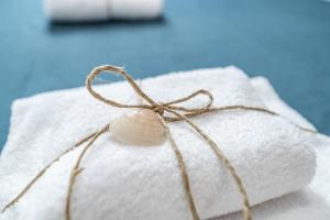 a shell sitting on top of a pile of towels at Taro's Blue Sea Apartment by Pleiades Home in Marina di Pisa +49 photos