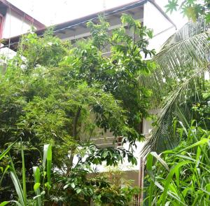 Giardino di Insa Guest House Kandy