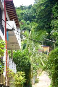Giardino di Insa Guest House Kandy