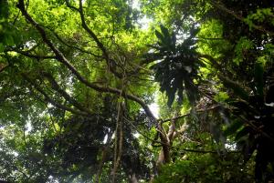 Paesaggio naturale nelle vicinanze dell'affittacamere