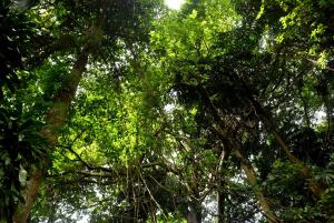 Paesaggio naturale nelle vicinanze dell'affittacamere