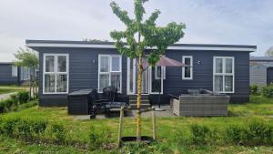 a blue house with a tree in front of it at Chalet in Oostkapelle in Oostkapelle