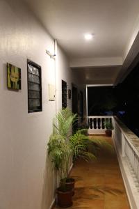 a hallway with potted plants in a building at Villa Baywalk Goa - 200 meters from Morjim Beach in Morjim