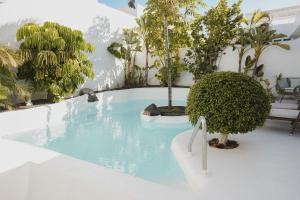 una piscina en una habitación con árboles y plantas en Villa Ananda - Luxury Villa in Bahiazul, en Corralejo