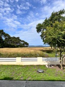 a white bench next to a field with a tree at Maison face au lac in Lacanau