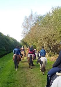 a group of people riding horses down a path at Ferienwohnung im Fehnland 25197 in Bunde