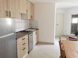 Kuchyň nebo kuchyňský kout v ubytování Apartments Silver