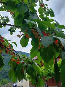 Paesaggio naturale nelle vicinanze dell'affittacamere