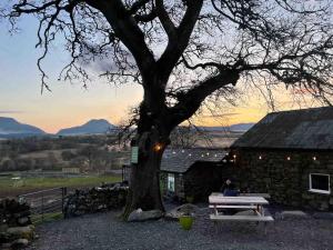a person sitting at a picnic table next to a tree at MTB Jumps View Pod in Trawsfynydd