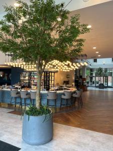 a tree in a large pot in a room with chairs at Radisson Blu Hotel, Durham in Durham