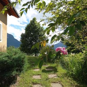Příroda nedaleko bed and breakfast