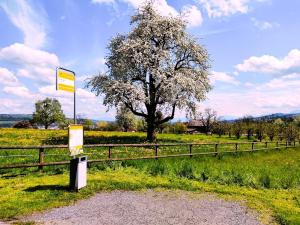 Paesaggio naturale nelle vicinanze del bed & breakfast