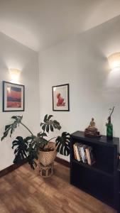Biblioteca nell'affittacamere