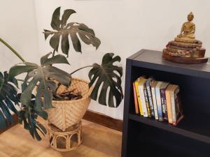 Biblioteca nell'affittacamere