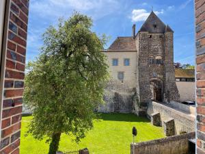 an old castle with a tree in front of it at maison de ville dans le perche in Senonches