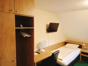 TV a/nebo společenská místnost v ubytování Hotel Gasthof Zum Löwen