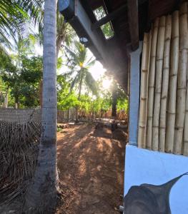 a palm tree sitting next to a picnic table at C U Hostel in Trincomalee