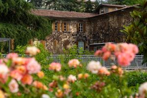 Zahrada ubytování Hotel San Pancrazio