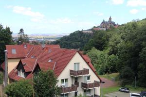 Příroda nedaleko hotelu