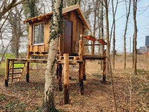 ein Baumhaus, das auf einem Baum steht in der Unterkunft Baumhausnächte in Ladbergen