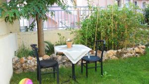 une table et des chaises dans l'herbe avec une plante dans l'établissement A&B My Sweet Home 2, à Anatolí