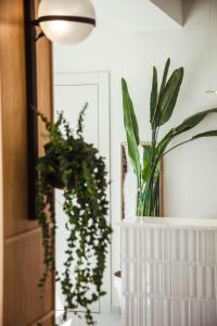 a room with plants sitting on a counter at Akti Hotel Kavala in Paleo Tsifliki