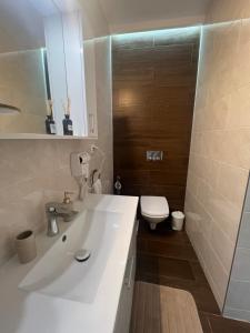 a bathroom with a white sink and a toilet at La Strada Central Apartament in Oradea