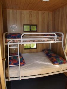 two bunk beds in a small room with two windows at Launceston Holiday Park Legana in Legana