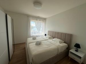 Gallery image of Queen'Sunset Appartement in Villeneuve