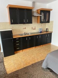 eine Küche mit schwarzen Schränken und einer Spüle in der Unterkunft Canpol-Jull's Art Hotel in Człuchów