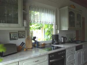 Η κουζίνα ή μικρή κουζίνα στο Blumenhaus
