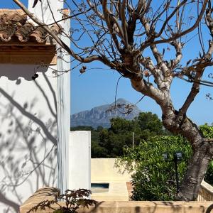 a view of a mountain from a house with a tree at Villas Monte Jávea - BTB in Jávea