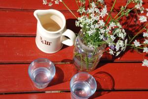a table with a vase of flowers and a cup of coffee at Ferienhof Hafflandsichten in Dargen