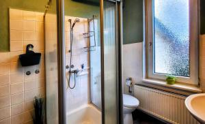 a bathroom with a shower and a toilet and a sink at HIRSCH FeWo Brocken - Parkplatz - Zentral in Bad Harzburg +7 photos