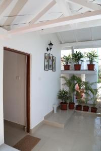 a hallway with potted plants in a building at Villa Baywalk Goa - 200 meters from Morjim Beach in Morjim