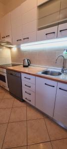 Kuchyň nebo kuchyňský kout v ubytování Apartment Sofia